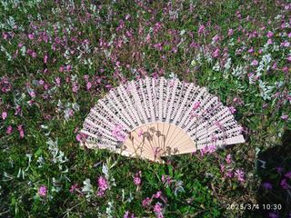 Ventaglio all' uncinetto