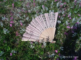 Ventaglio all' uncinetto