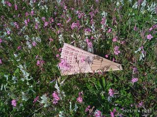 Ventaglio all' uncinetto