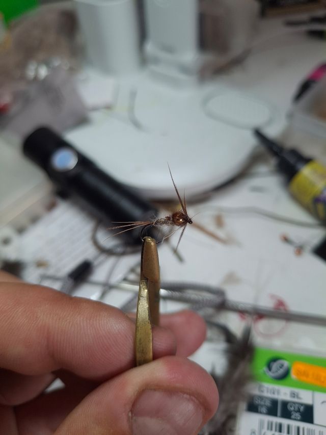 Moscas secas y ninfas