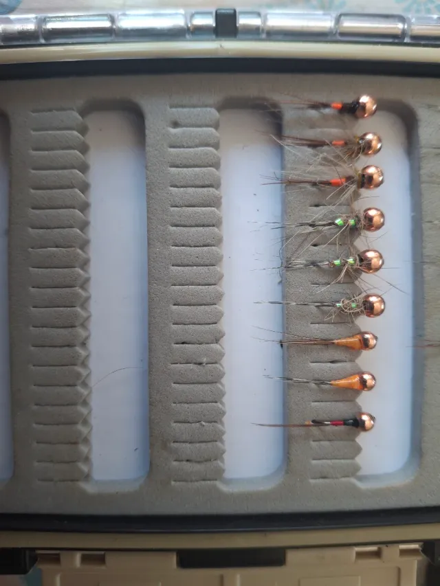 Moscas secas y ninfas