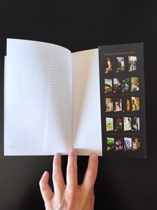 Livro "Shirley" Charlotte Bronte