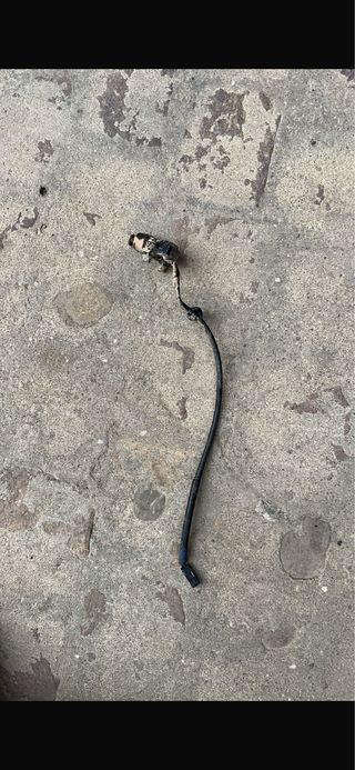 TMAX 2022 SENSOR PATA CABRA 