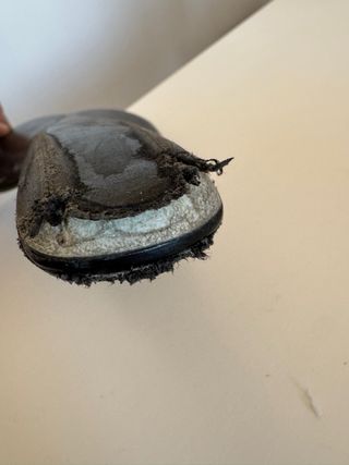 Sella bici da corsa FIZIK TUNDRA