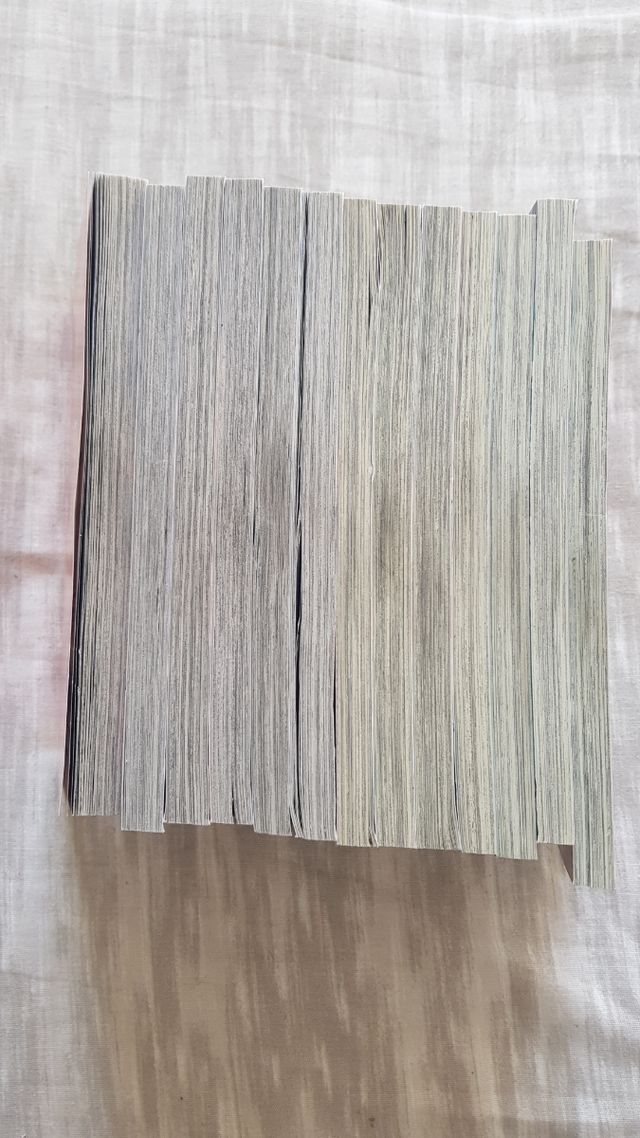 Fumetti manga high school Debut