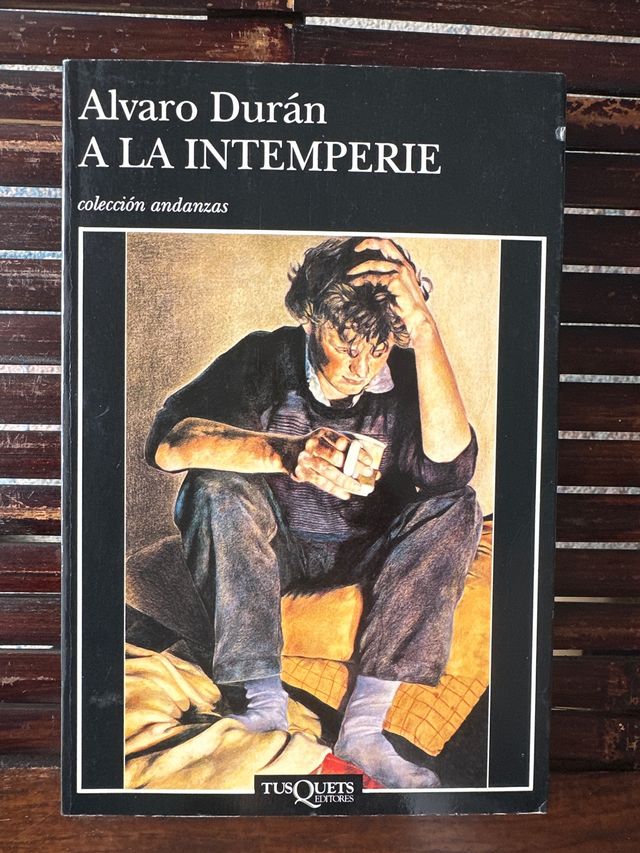 A la intemperie (Spanish Edition)