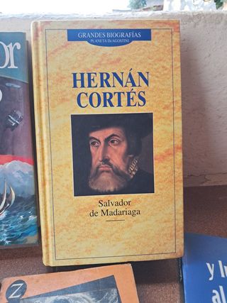 LOTE LIBROS Y NOVELAS 
