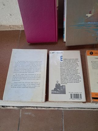 LOTE LIBROS Y NOVELAS 