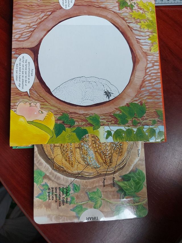 Descubre mundos ocultos