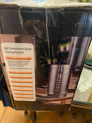 Limpieza a vapor
