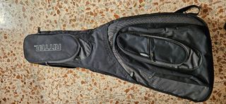 Guitarra Taylor 110e