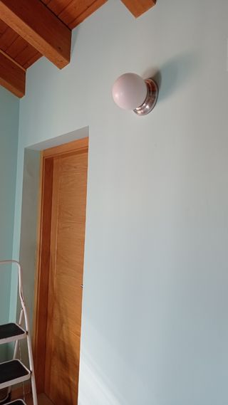 2 Focos luz pared o techo globos