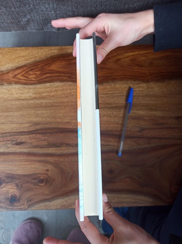 Libro: Último verano de juventud