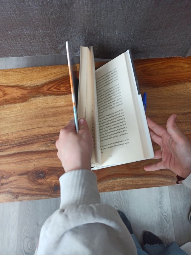 Libro: Último verano de juventud