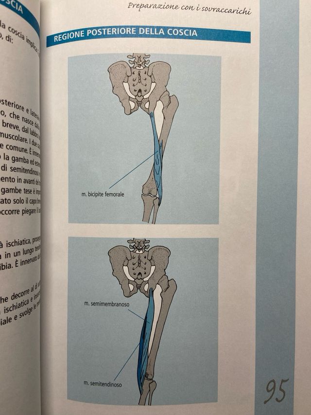 Libro “A scuola di firness”