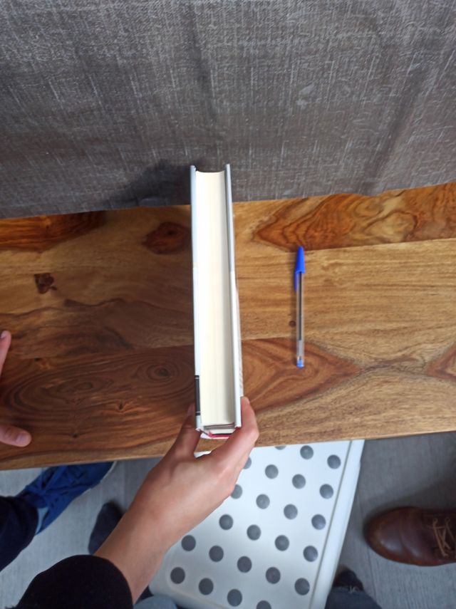 Milena o el fémur más bello del mundo (Spanish Edition)