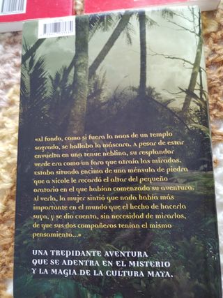 El oro de los sueños (Serie Roja. A partir de 14 años) (Spanish Edition)