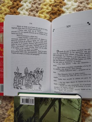 El oro de los sueños (Serie Roja. A partir de 14 años) (Spanish Edition)