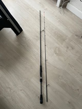 Caña pesca Daiwa Infeet rock fish solid tip