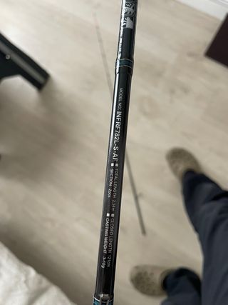 Caña pesca Daiwa Infeet rock fish solid tip