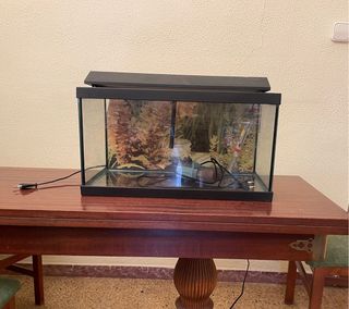 Acuario pecera