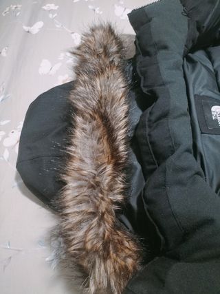 Abrigo THE NORTH FACE