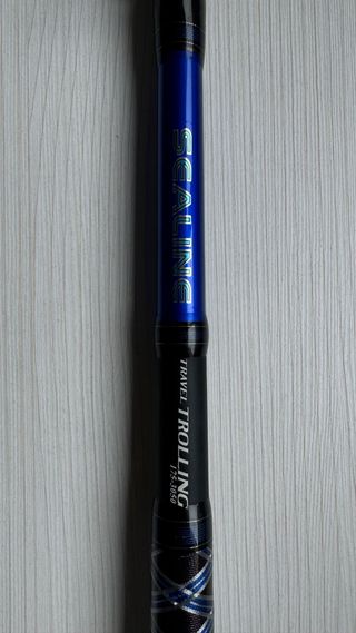 Caña de pescar Daiwa