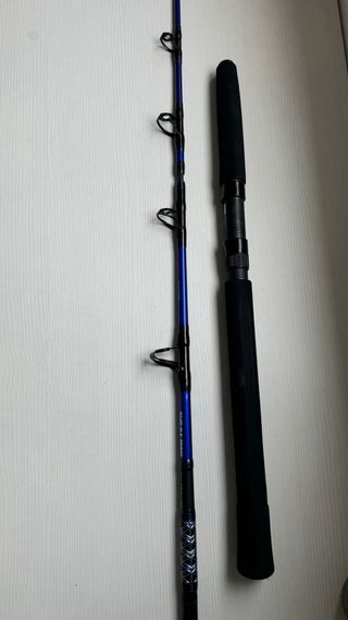 Caña de pescar Daiwa