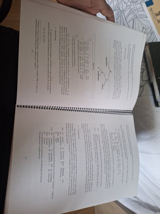 Teoría Linguística, método, herramientas paradigma