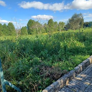 Jardínero económico