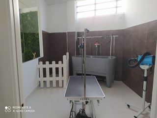 Traspaso Peluquería canina