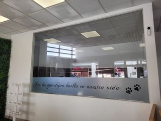 Traspaso Peluquería canina