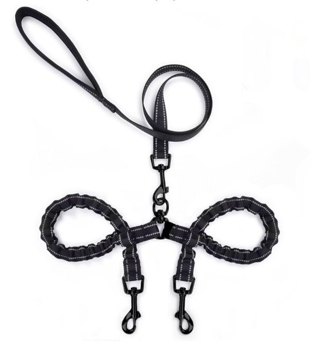 Correa doble perro pequeño