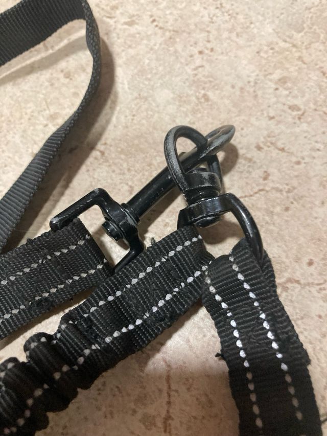 Correa doble perro pequeño