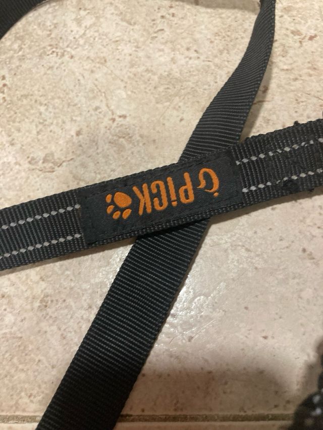 Correa doble perro pequeño