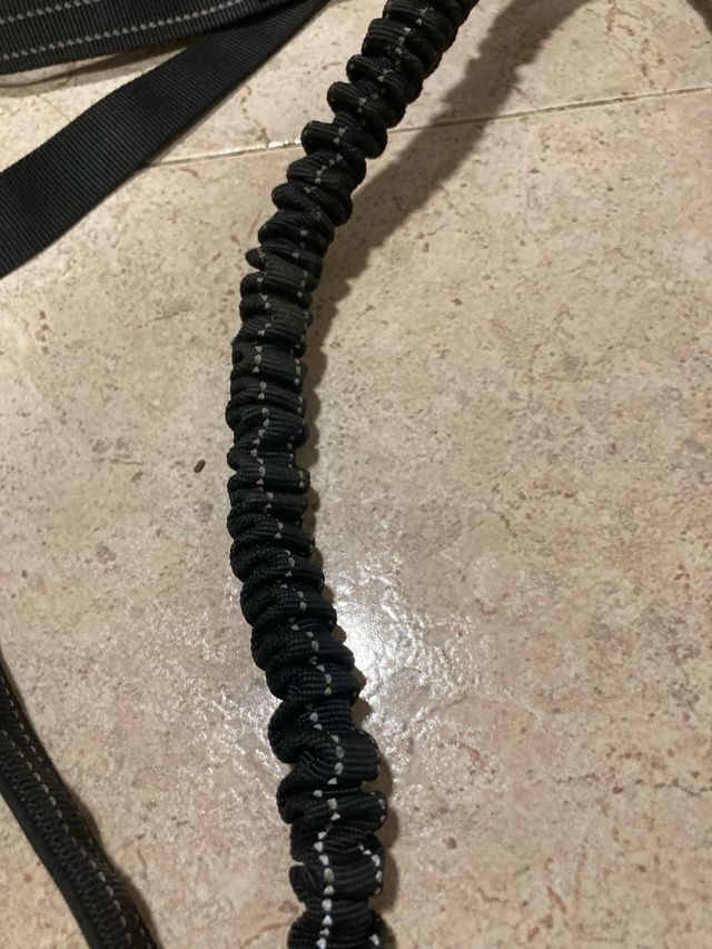 Correa doble perro pequeño