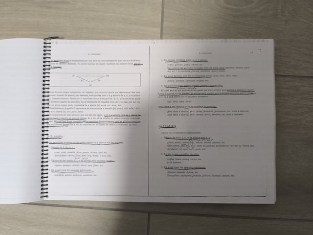 Llibre de llengua elemental i mitjà