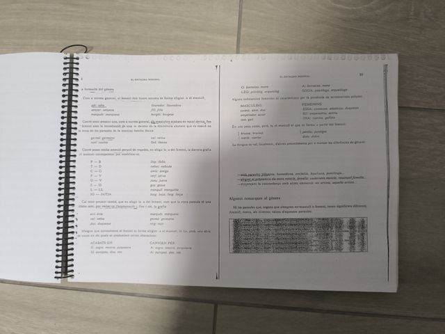 Llibre de llengua elemental i mitjà