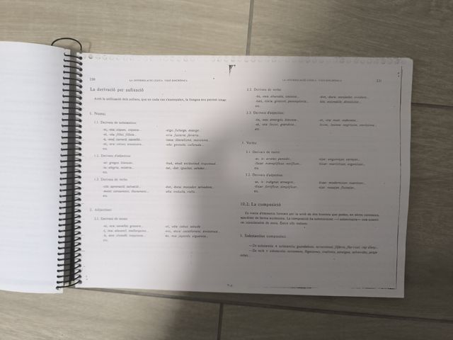 Llibre de llengua elemental i mitjà