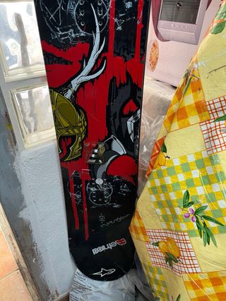 Santa cruz snowboard