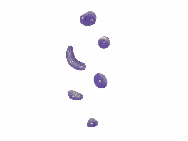 Imanes de rocódromo (incluye 6 presas) Artesanía