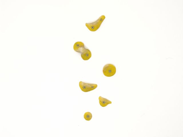 Imanes de rocódromo (incluye 6 presas) Artesanía