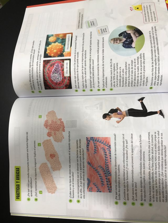 Proyecto: FanFest. Ciencias de la Naturaleza 6 Ca