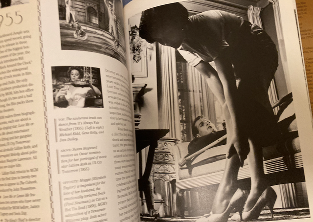 MGM When the lions roars. Libro cine