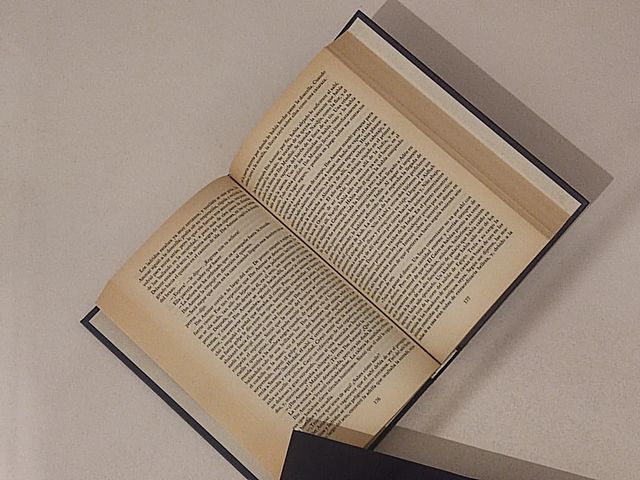 El puente de Alcantara I y Il