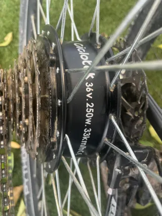 Bicicleta eléctrica