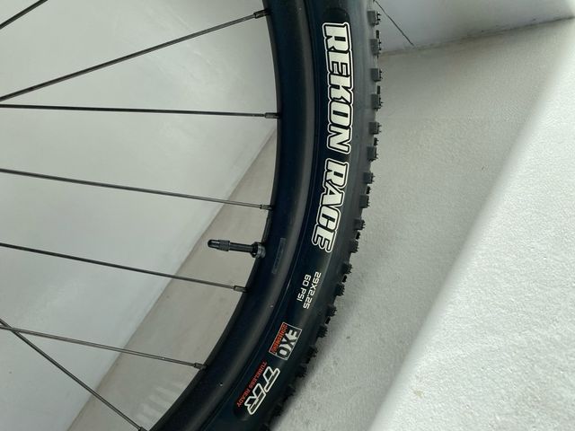 Liv Pique 29 1 2022 talla S