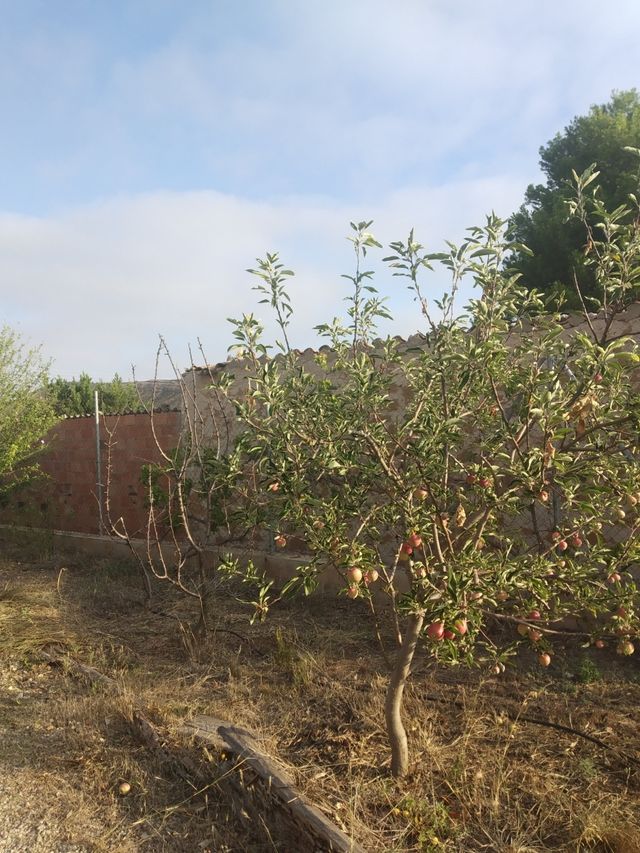 Casa de campo en Albalate del Arzobispo