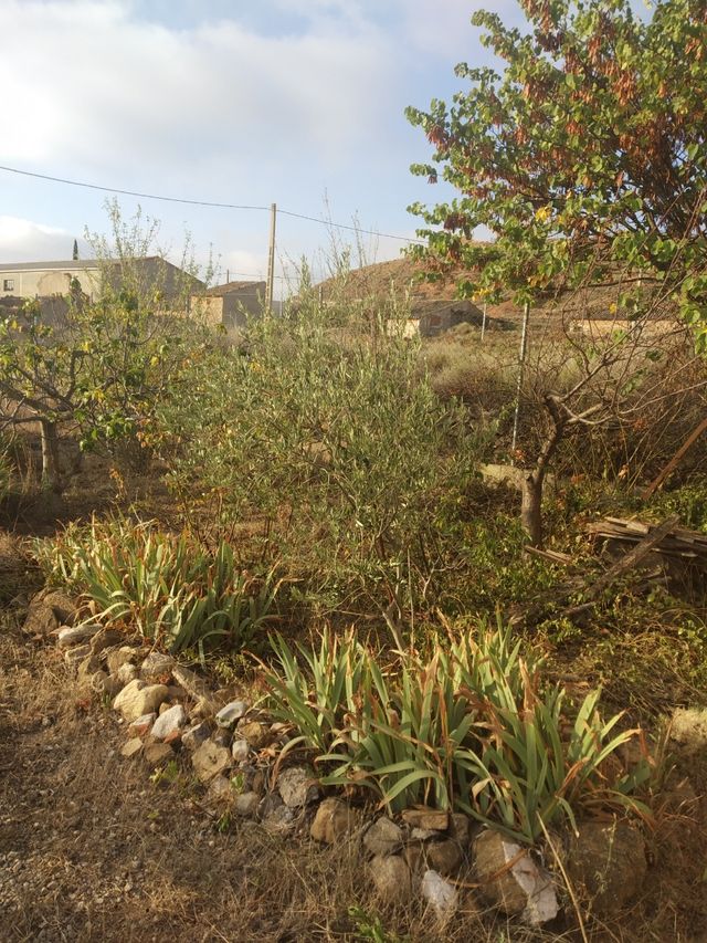 Casa de campo en Albalate del Arzobispo