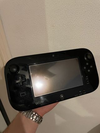 Pad Wii U